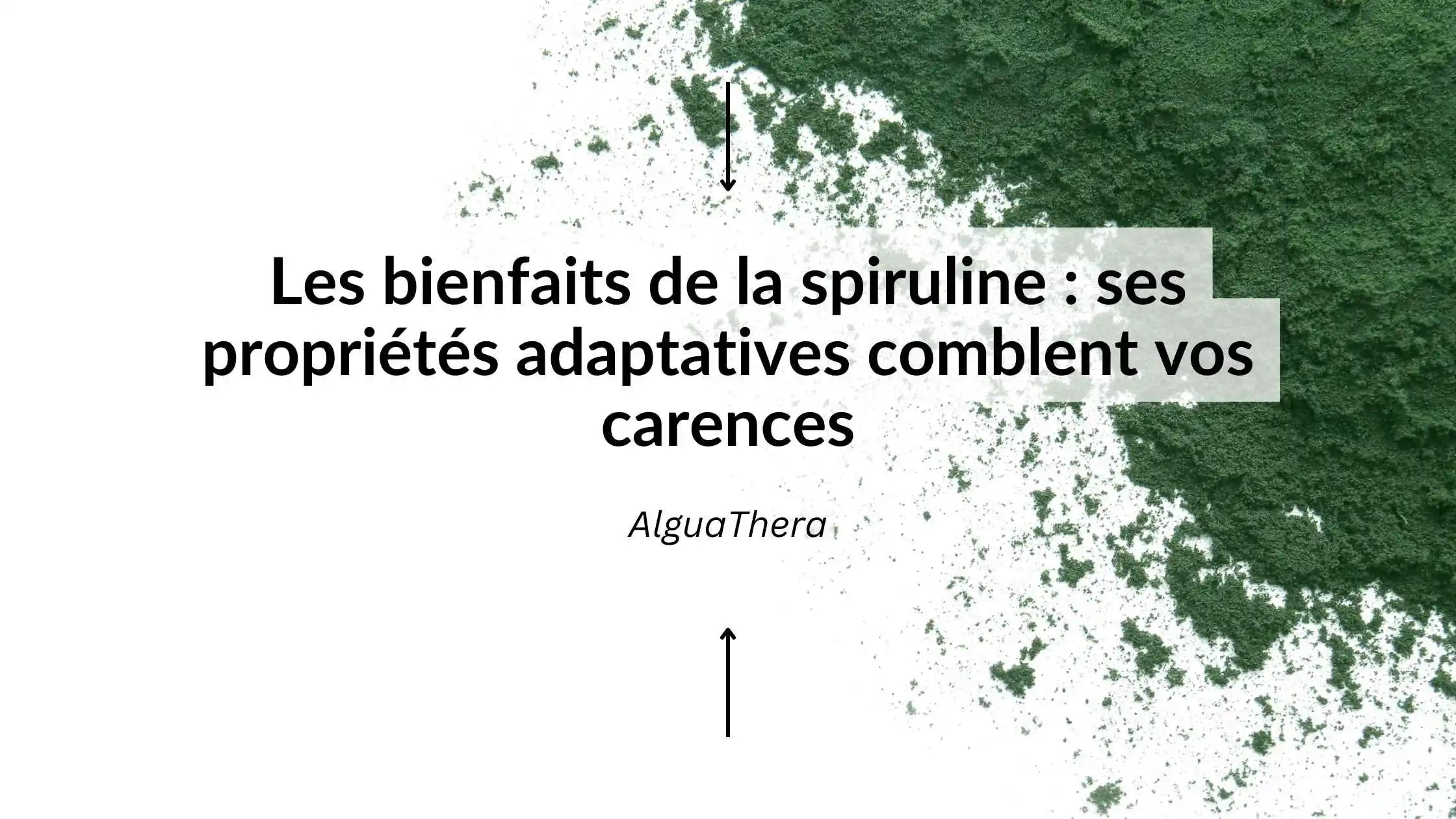 Spiruline : bienfaits et propriétés de cette algue miraculeuse
