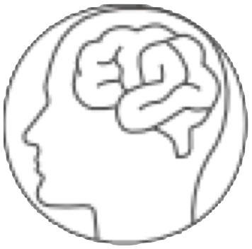 Cerveau