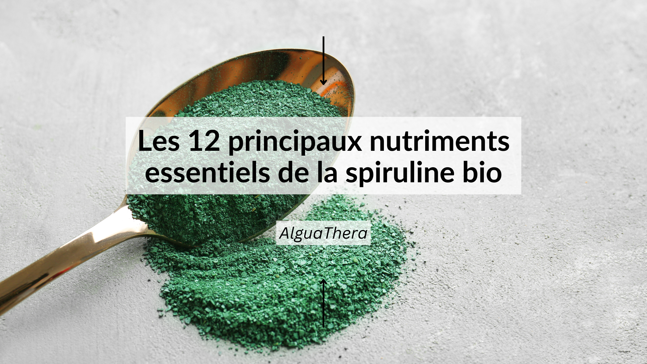 Spiruline bio : composition nutritionnelle et 12 nutriments essentiels