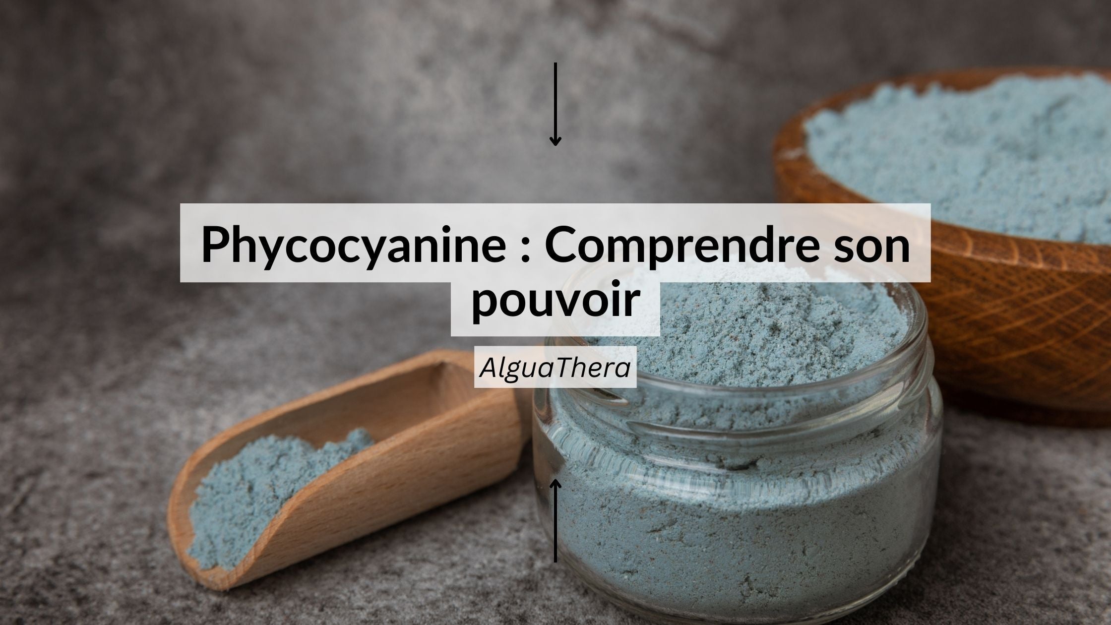 Spiruline et phycocyanine : comprendre leurs rôles essentiels en micronutrition