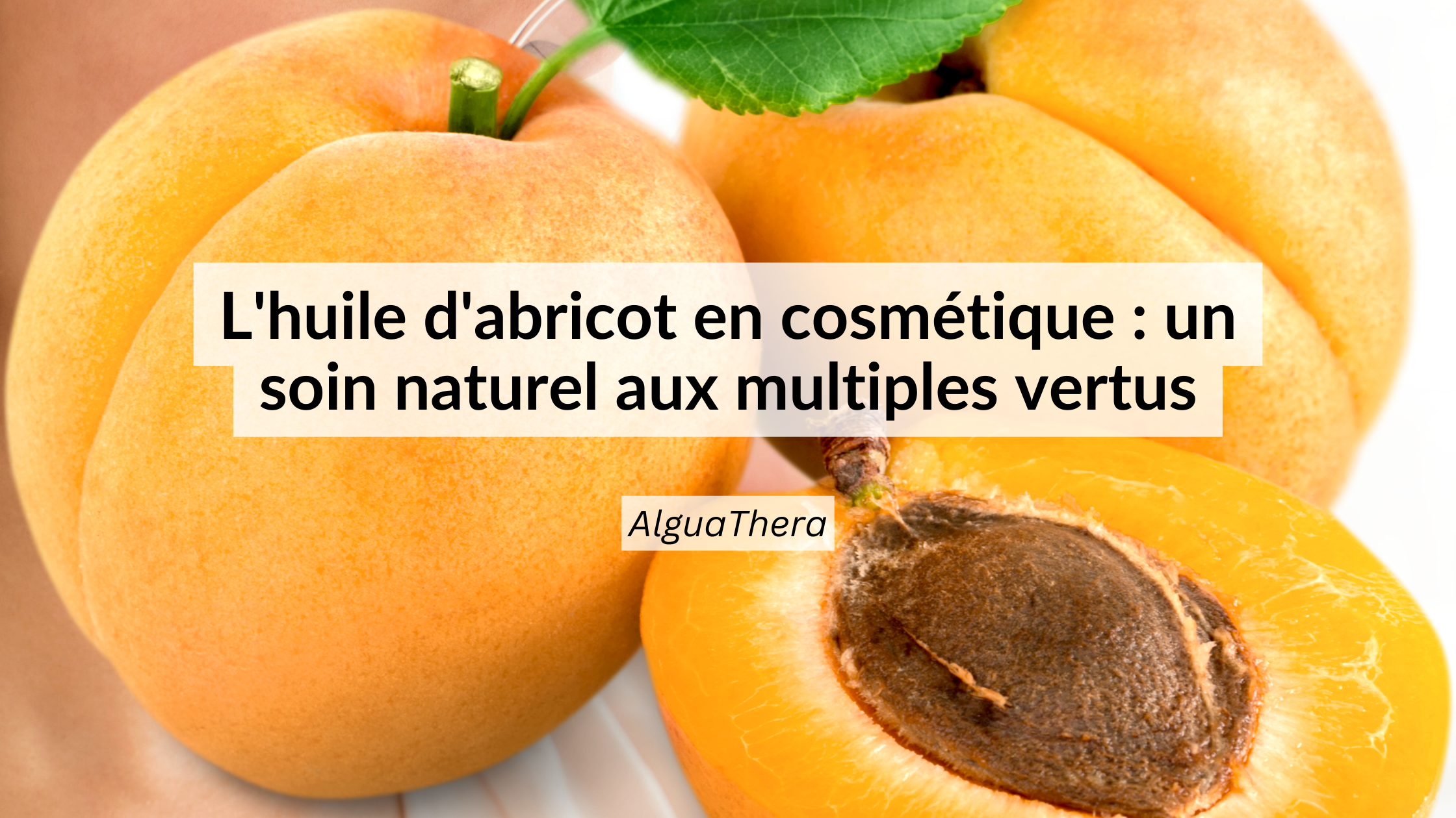 Huile d'abricot pour la peau : bienfaits et utilisation du noyau