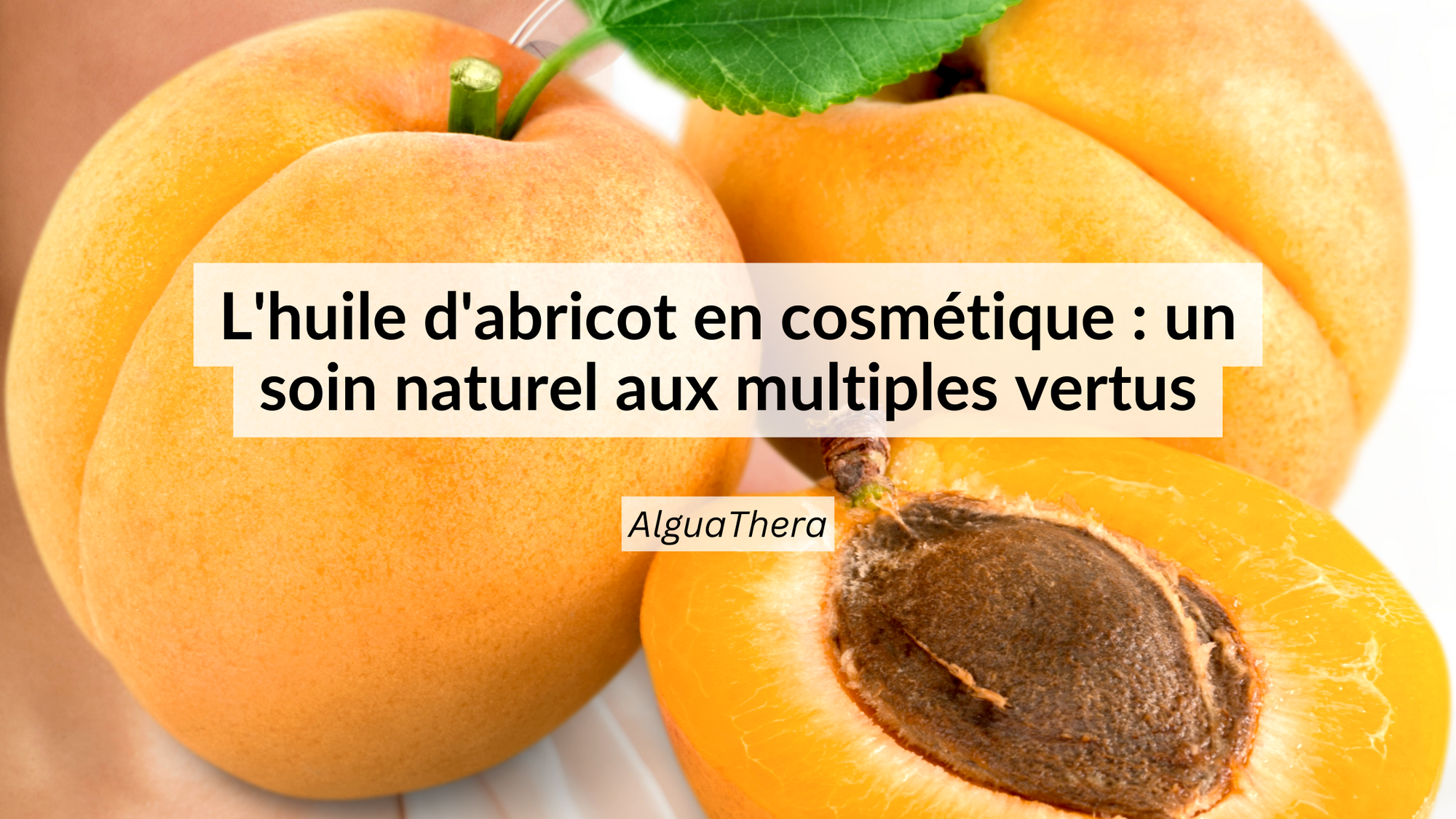 Huile d'abricot pour la peau : bienfaits et utilisation du noyau
