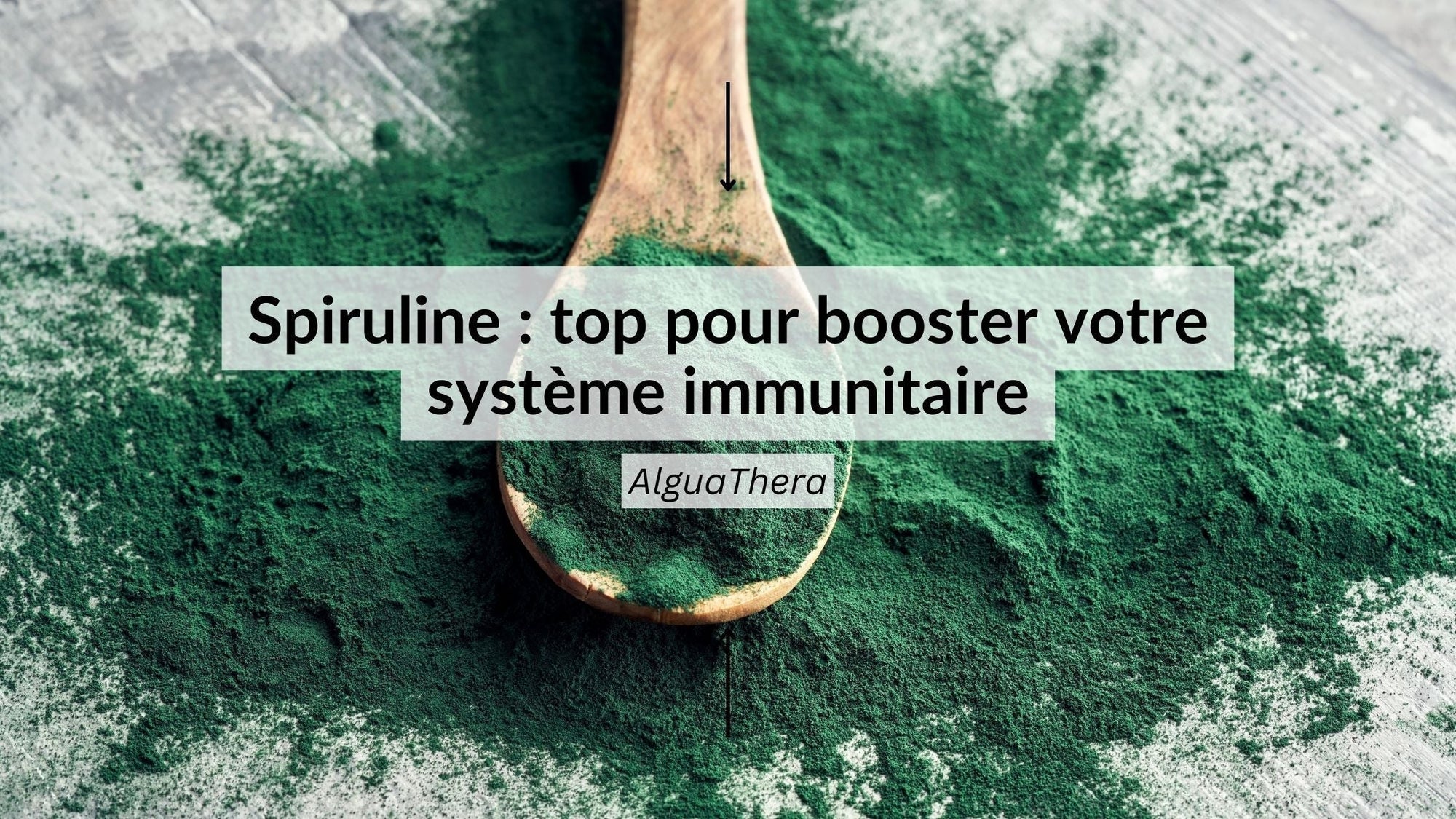 Spiruline bio : renforcer votre système immunitaire naturellement