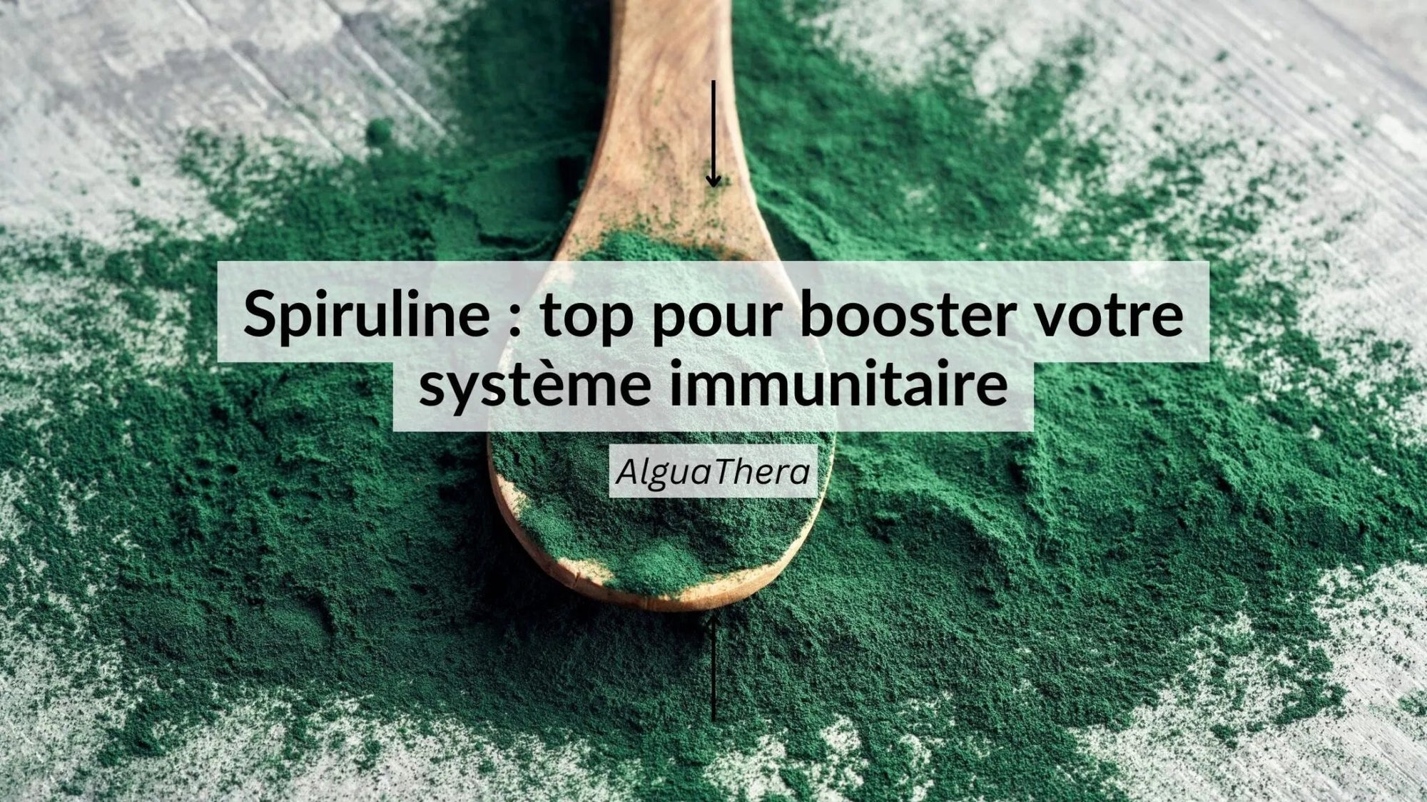 Fer et vitamine b12 : carence, bienfaits et compléments alimentaires