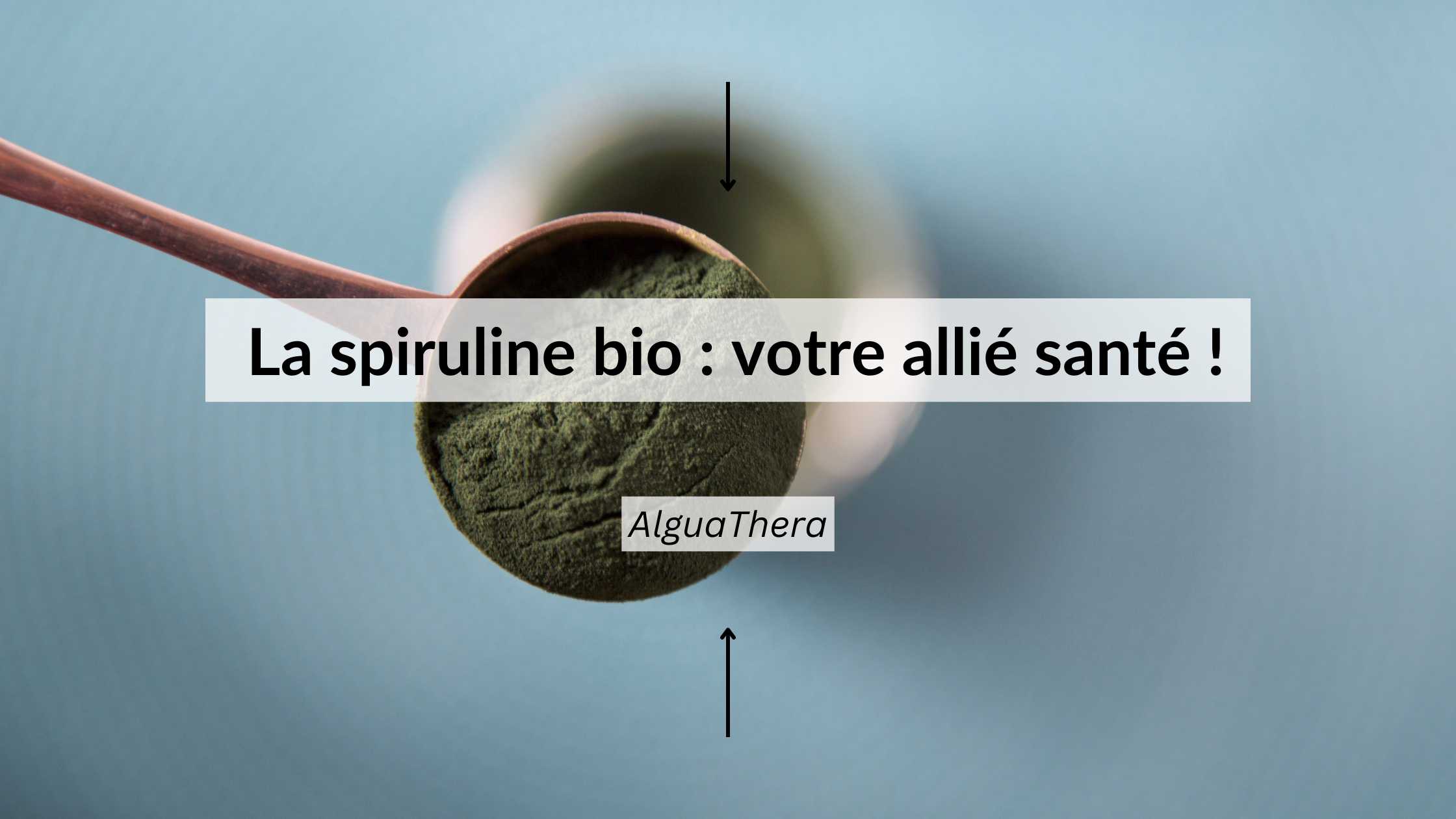 Spiruline bio : bienfaits et vertus pour la santé