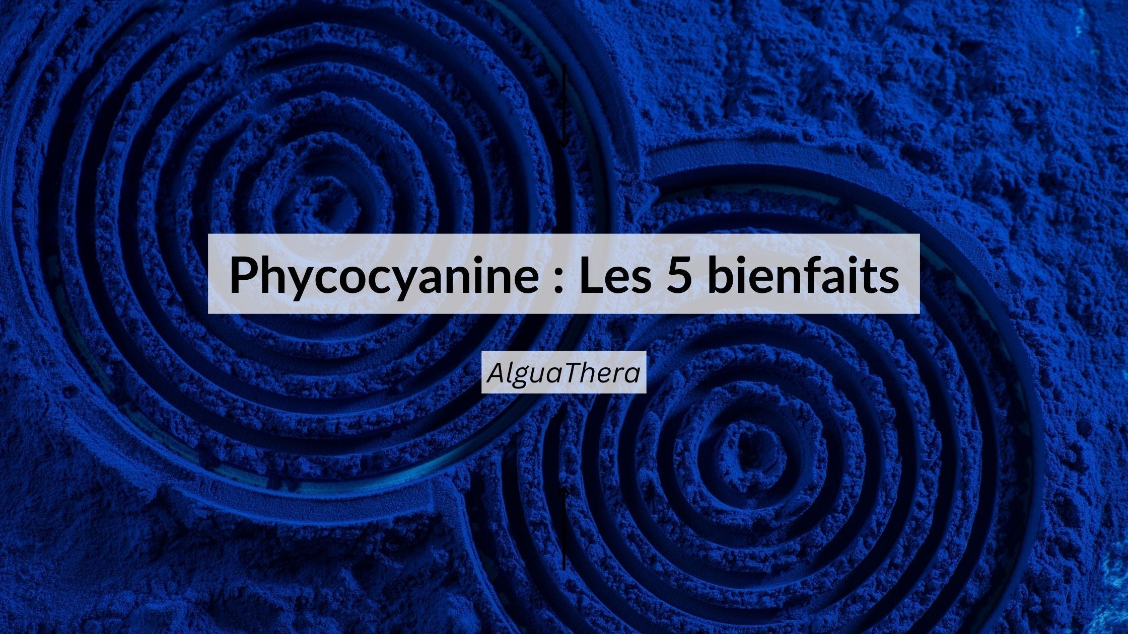 Phycocyanine et spiruline : 5 bienfaits pour l'immunité bio
